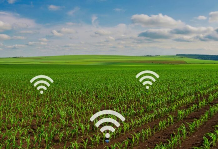 اینترنت اشیا در کشاورزی هوشمند